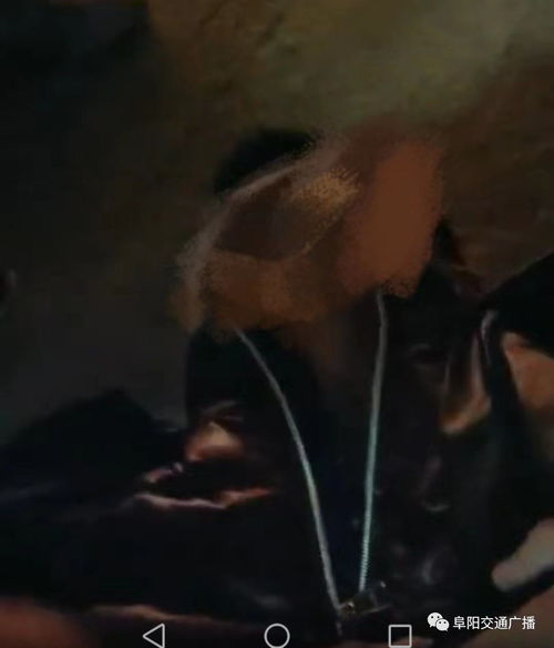 网友激烈讨论的画面