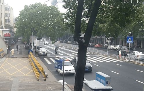 亮证女司机非公职人员背后的真相大揭秘