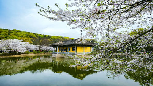 鼋头渚的优美景色