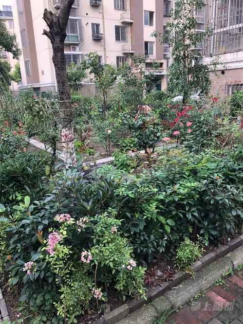 阿姨退休后潇洒退群，手机瞬间减负！