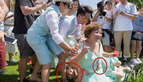 包贝尔被要求给柳岩道歉竟爆粗口？真相令人咋舌！