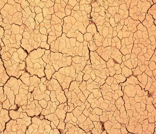 干涸的土地裂纹
