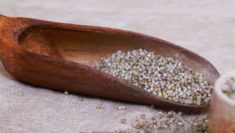 美国核工厂惊现放射性黄蜂巢，背后真相令人细思极恐！