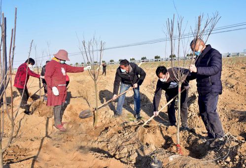 人们参加植树活动