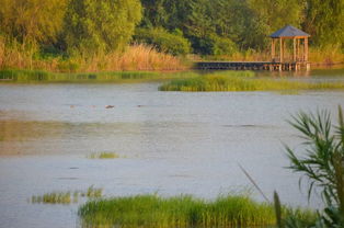 宿迁VS无锡，谁才是江苏真正的宝藏城市？