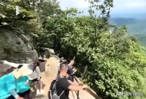 目击者讲述：男子坐栏杆后仰坠崖的惊魂一刻