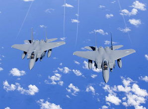 多型战机联合编队