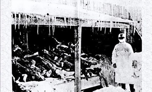 《731》定档918！揭露日军残忍罪行的力作即将上映