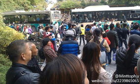 游客滞留现场图