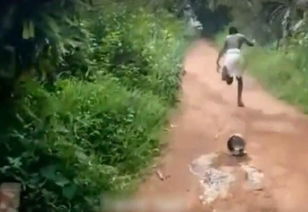 男子遇蛇大叫，竟把蛇吓得原路返回！