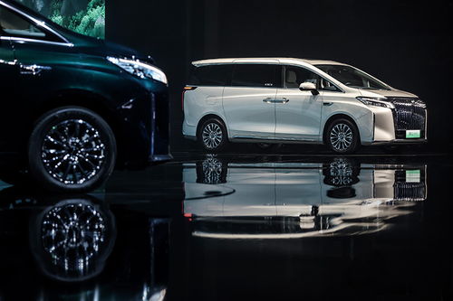 魏牌高山9正面照