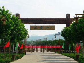 多方回应凤凰山景区游客坠崖事件，背后真相引关注