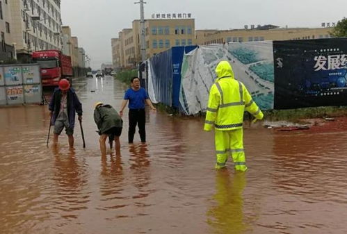 党员干部在抗洪现场忙碌的情景