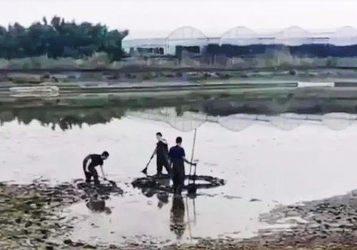 民众议论汉江不明物体