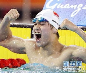 樊振东莫雷加德聚餐背后的那些事儿