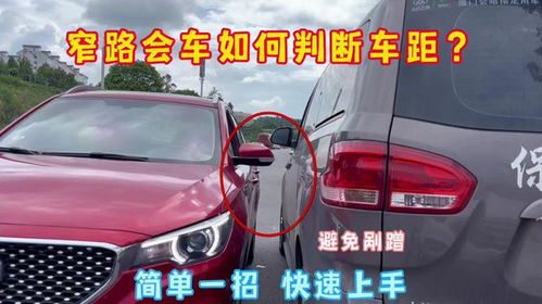 亮证风波：莫拿身份扭曲规则！