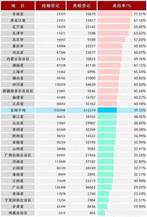 民政局统计数据表格