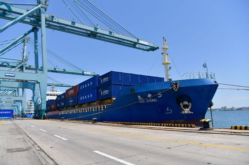 全球贸易面临严峻挑战，黑暗时刻已来临？