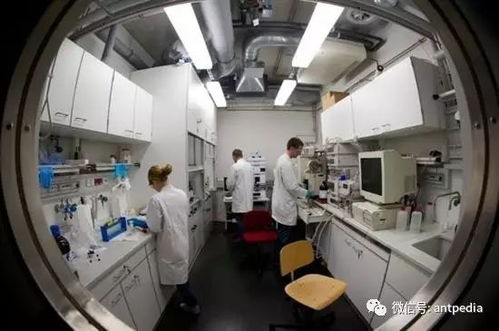 我国艾滋病疫苗研发取得重大突破！