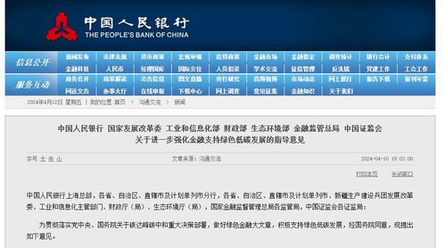 专家发表观点画面截图