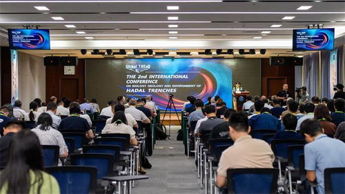 国际会议现场画面