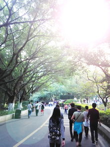 丹东凤凰山惊魂一刻：女子目睹丈夫坠亡，景区竟如此回应！