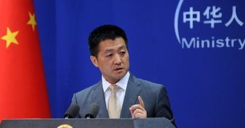 专家发言示意图