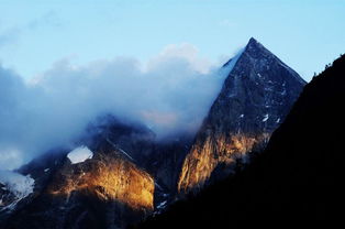 新疆伊昭公路8月下雪啦！路人穿短裤在雪中跺脚，太魔幻