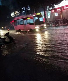 暴雨来袭，“10要10不要”保你平安