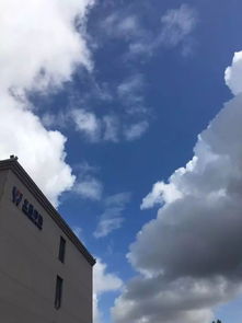 中美贸易战再升级，谁能笑到最后？