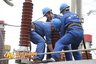 洪灾之后：清淤消杀工作的火热现场