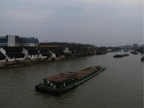 杭州夫妻争吵致丈夫跳河，悲剧背后的故事