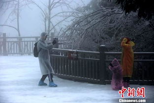 游客在雪中拍照