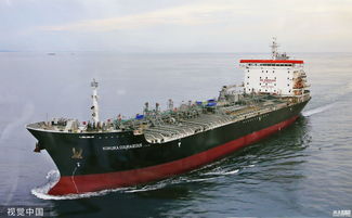 美国要求多国停购俄石油被拒，背后真相令人深思