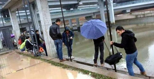 汉江惊魂！夜钓男子偶遇10米长神秘生物