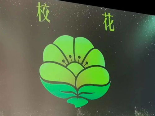 珠心算大赛：小孩哥手脑并用，实力碾压系统