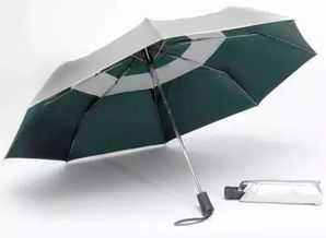 雷军为小米车主送专属伞，售价169元背后有何深意？