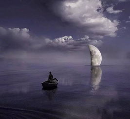 独身者的孤独感