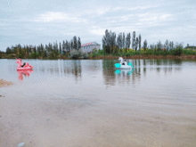 北戴河专家暑期休假：建功新时代的盛景