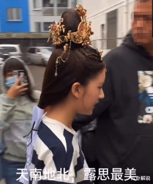 赵露思粉丝应援图