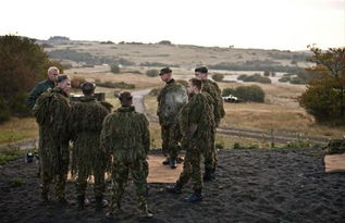 英国全面备战的背后真相