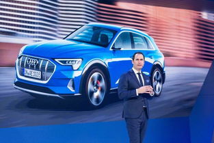 上汽奥迪A5L首发限量版售罄，背后故事引人深思