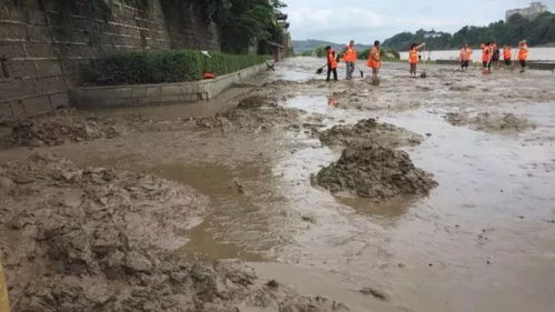 洪水退去返家必看：这些关键细节不容忽视