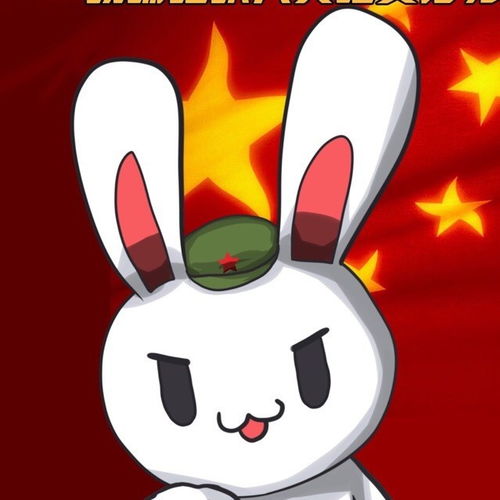 萌物大乱斗！从萌兔到狸花猫再到婴儿，魔性AI视频的奇妙世界