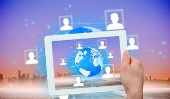 恶意传播虚假信息行为图