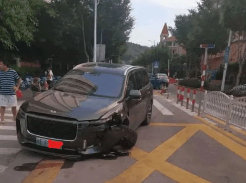 理想VS乘龙，一场碰撞引发的营销大战