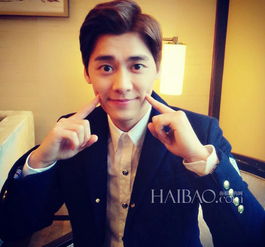 粉丝期待演唱会海报