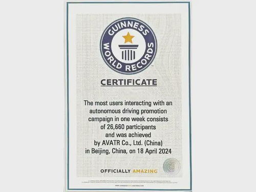 吉尼斯纪录证书示意图