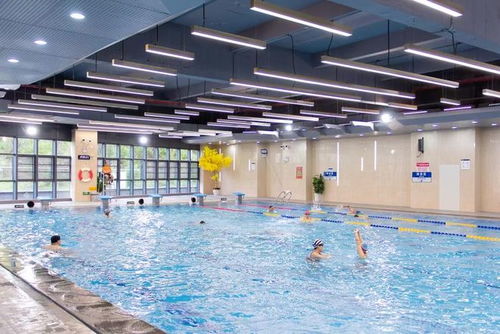 游泳场馆内部环境