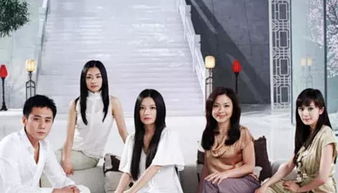 赵薇被冻结1590万股权，背后故事令人深思